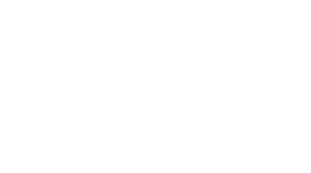 Web 9